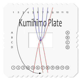 Top-down view of Kumihimo plate with cord